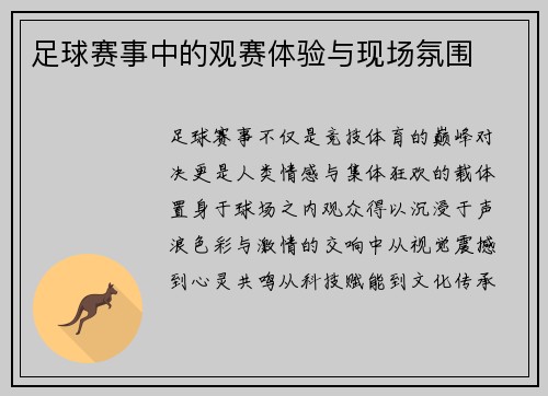 足球赛事中的观赛体验与现场氛围